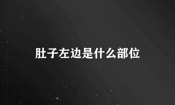 肚子左边是什么部位