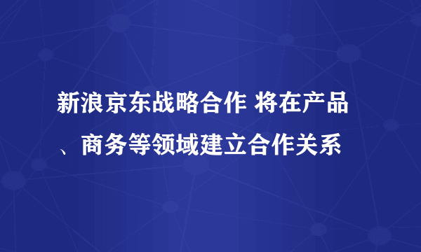 新浪京东战略合作 将在产品、商务等领域建立合作关系