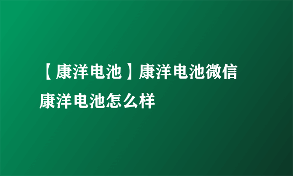 【康洋电池】康洋电池微信 康洋电池怎么样