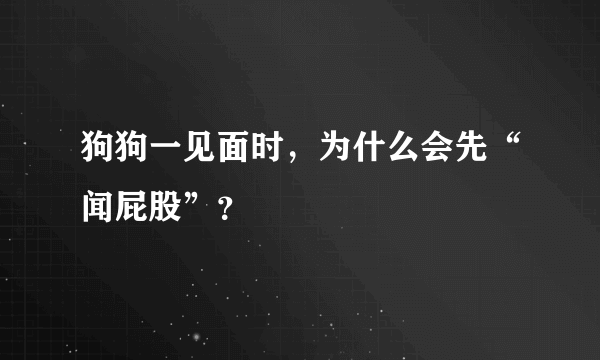 狗狗一见面时，为什么会先“闻屁股”？