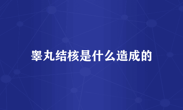 睾丸结核是什么造成的