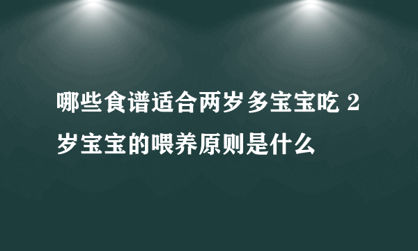 哪些食谱适合两岁多宝宝吃 2岁宝宝的喂养原则是什么
