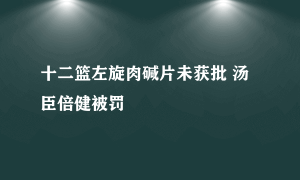 十二篮左旋肉碱片未获批 汤臣倍健被罚