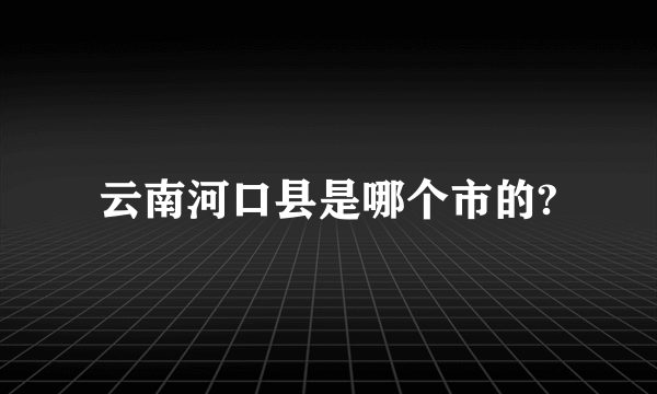 云南河口县是哪个市的?