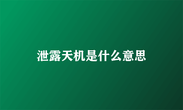 泄露天机是什么意思