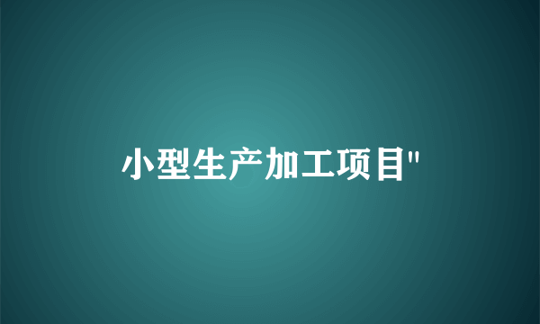 小型生产加工项目