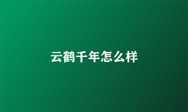 云鹤千年怎么样