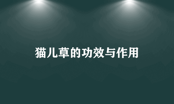 猫儿草的功效与作用