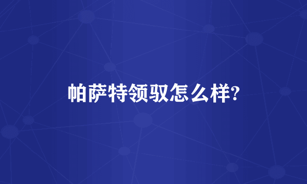 帕萨特领驭怎么样?