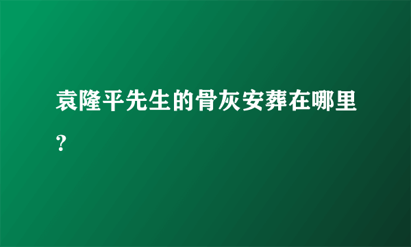 袁隆平先生的骨灰安葬在哪里？