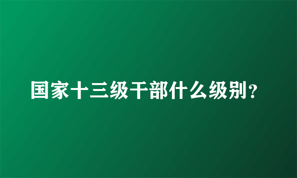 国家十三级干部什么级别？