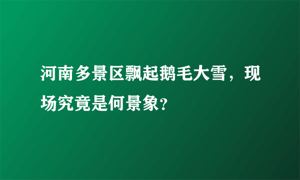河南多景区飘起鹅毛大雪，现场究竟是何景象？