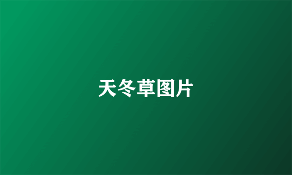 天冬草图片
