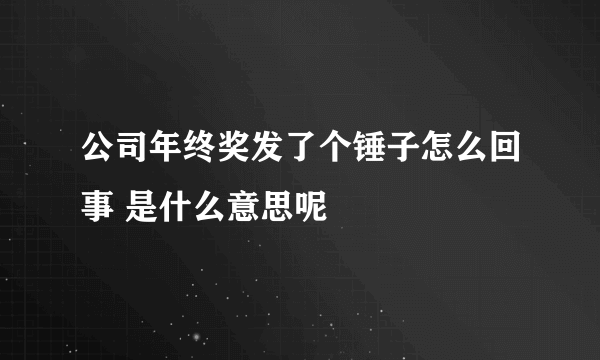 公司年终奖发了个锤子怎么回事 是什么意思呢