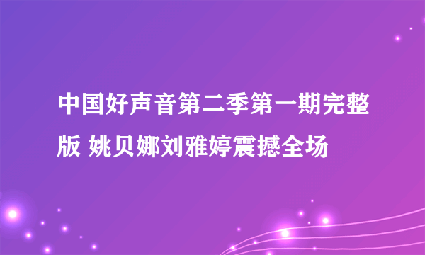 中国好声音第二季第一期完整版 姚贝娜刘雅婷震撼全场
