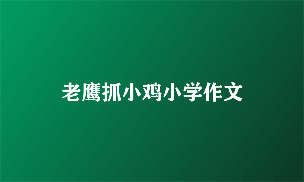 老鹰抓小鸡小学作文