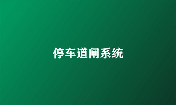 停车道闸系统