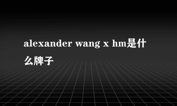 alexander wang x hm是什么牌子