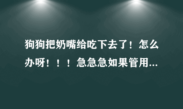 狗狗把奶嘴给吃下去了！怎么办呀！！！急急急如果管用还给加分！！！在线等