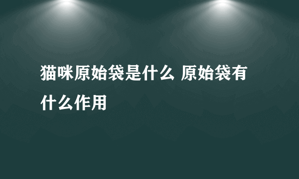 猫咪原始袋是什么 原始袋有什么作用