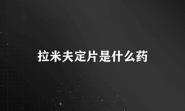拉米夫定片是什么药