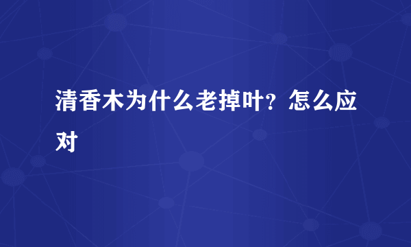 清香木为什么老掉叶？怎么应对