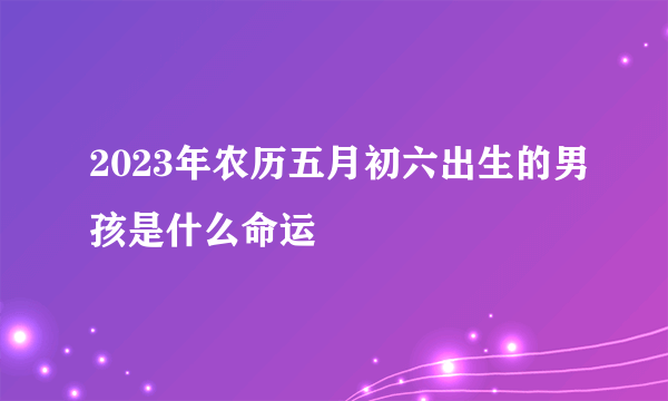 2023年农历五月初六出生的男孩是什么命运