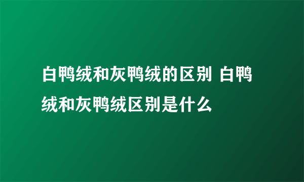 白鸭绒和灰鸭绒的区别 白鸭绒和灰鸭绒区别是什么