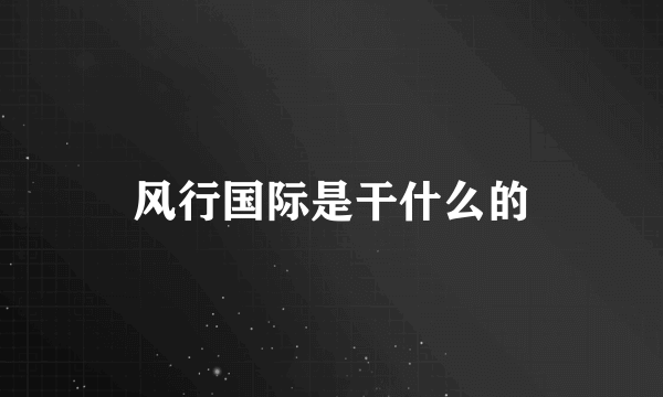 风行国际是干什么的