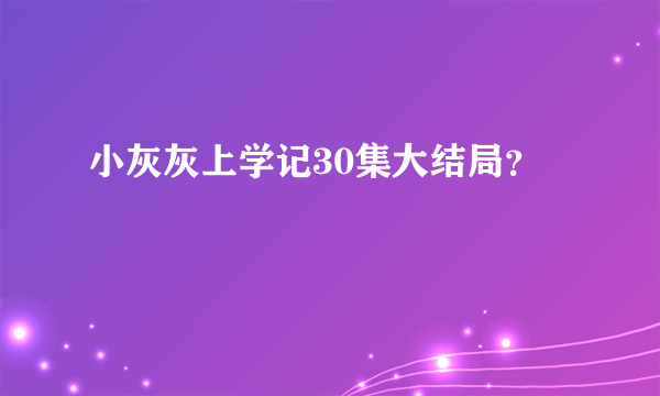 小灰灰上学记30集大结局？