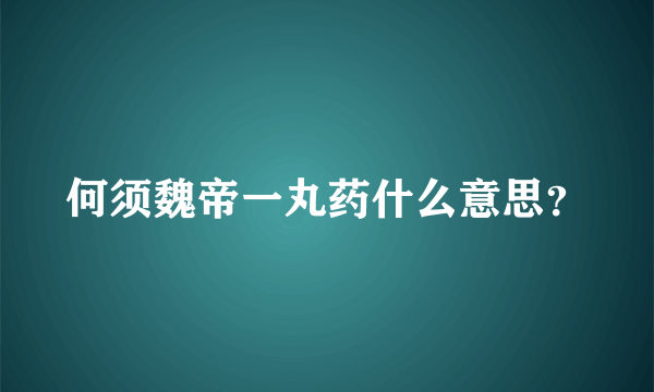何须魏帝一丸药什么意思？