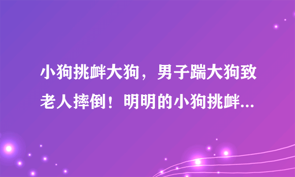 小狗挑衅大狗，男子踹大狗致老人摔倒！明明的小狗挑衅，对方为何如此极端？