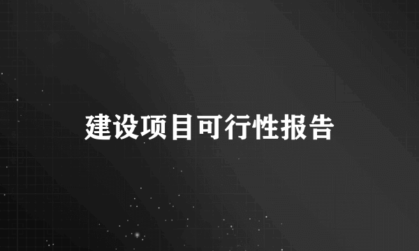 建设项目可行性报告