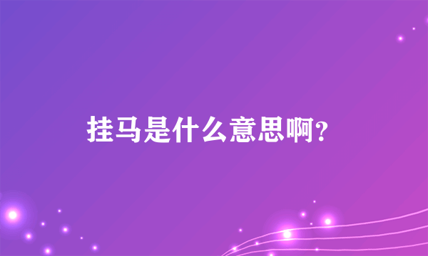 挂马是什么意思啊？