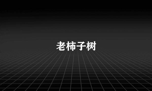 老柿子树