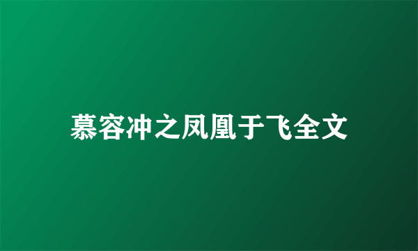 慕容冲之凤凰于飞全文