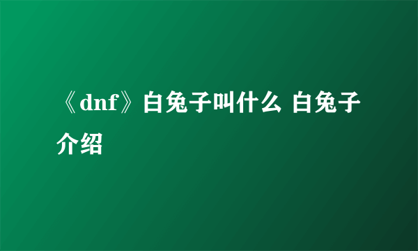 《dnf》白兔子叫什么 白兔子介绍