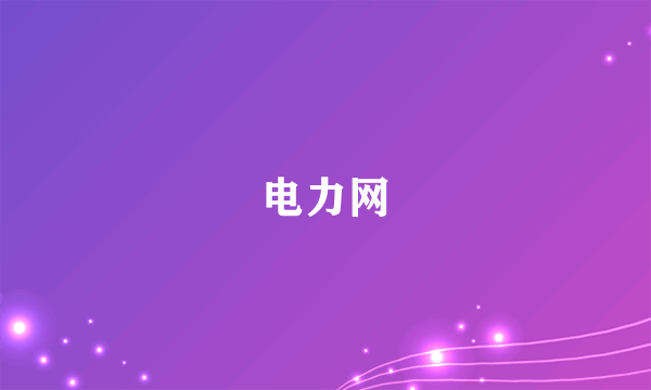 电力网