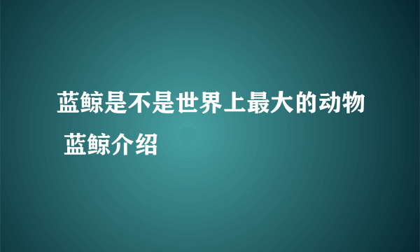 蓝鲸是不是世界上最大的动物 蓝鲸介绍