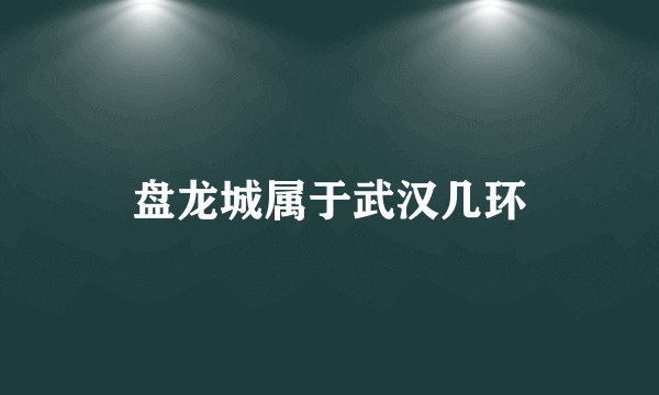盘龙城属于武汉几环