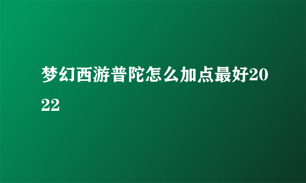 梦幻西游普陀怎么加点最好2022
