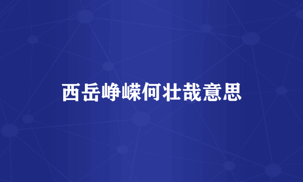 西岳峥嵘何壮哉意思
