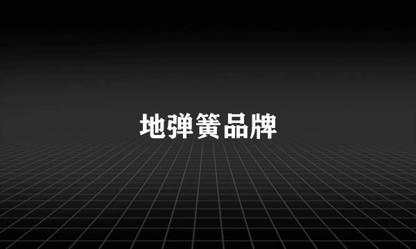 地弹簧品牌