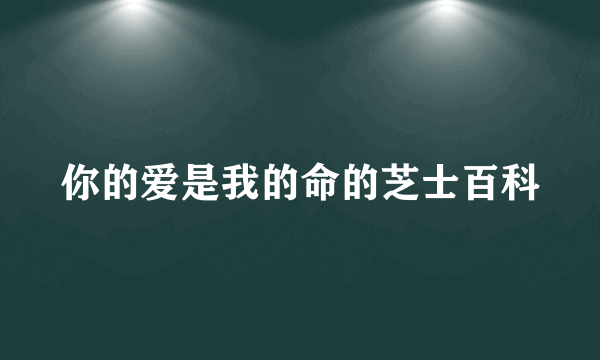 你的爱是我的命的芝士百科