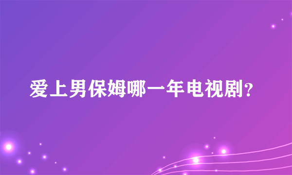 爱上男保姆哪一年电视剧？