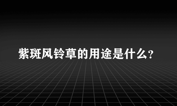 紫斑风铃草的用途是什么？