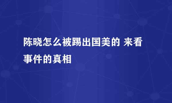 陈晓怎么被踢出国美的 来看事件的真相
