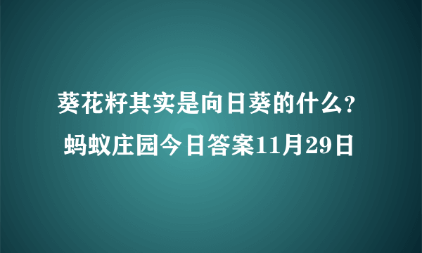 葵花籽其实是向日葵的什么？ 蚂蚁庄园今日答案11月29日