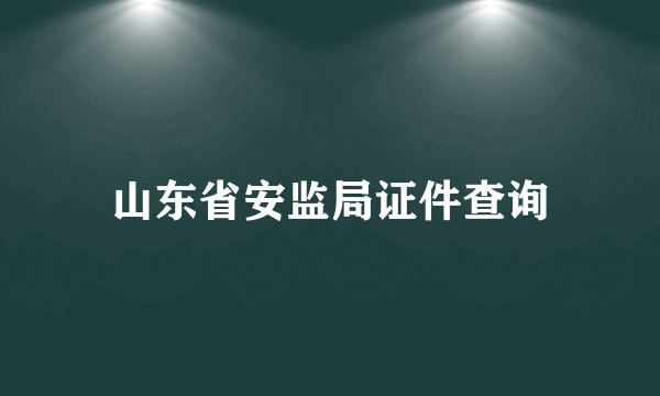 山东省安监局证件查询