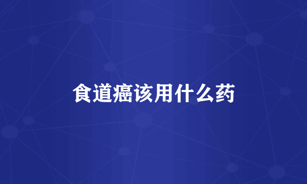 食道癌该用什么药